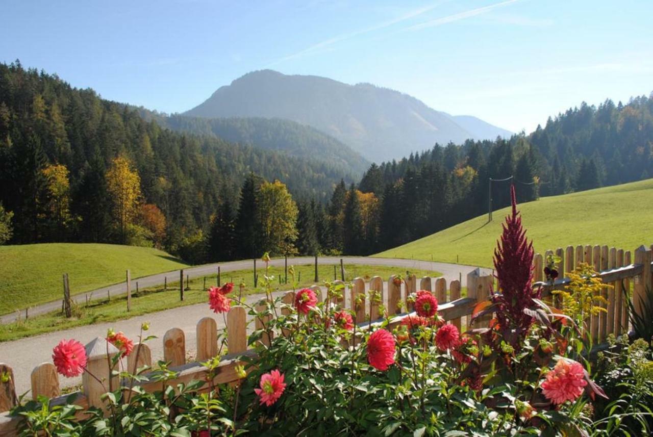 Familienbauernhof Glockriegl Villa Lunz am See Buitenkant foto